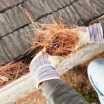 A person wearing gloves is cleaning pine needles from a roof gutter.