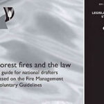 Forest fires and the law