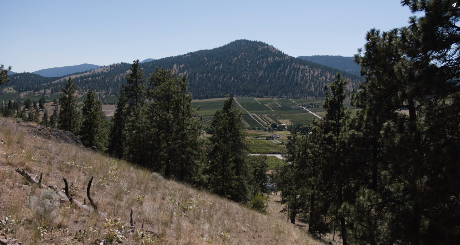 Deer Ridge - The 100th FireSmart Recognized Neighbourhood in BC