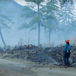 Indigenous Cultural Burning