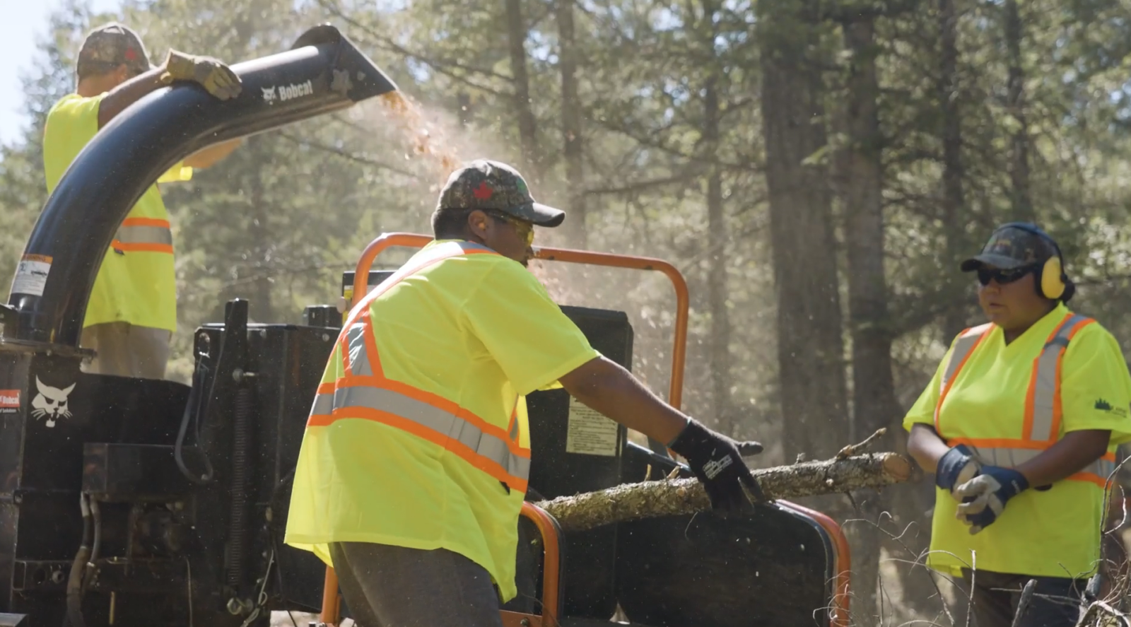 workers in yellow high-visibility vests operate a wood chipper in a forested area