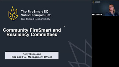 Community Wildfire Resiliency Committees