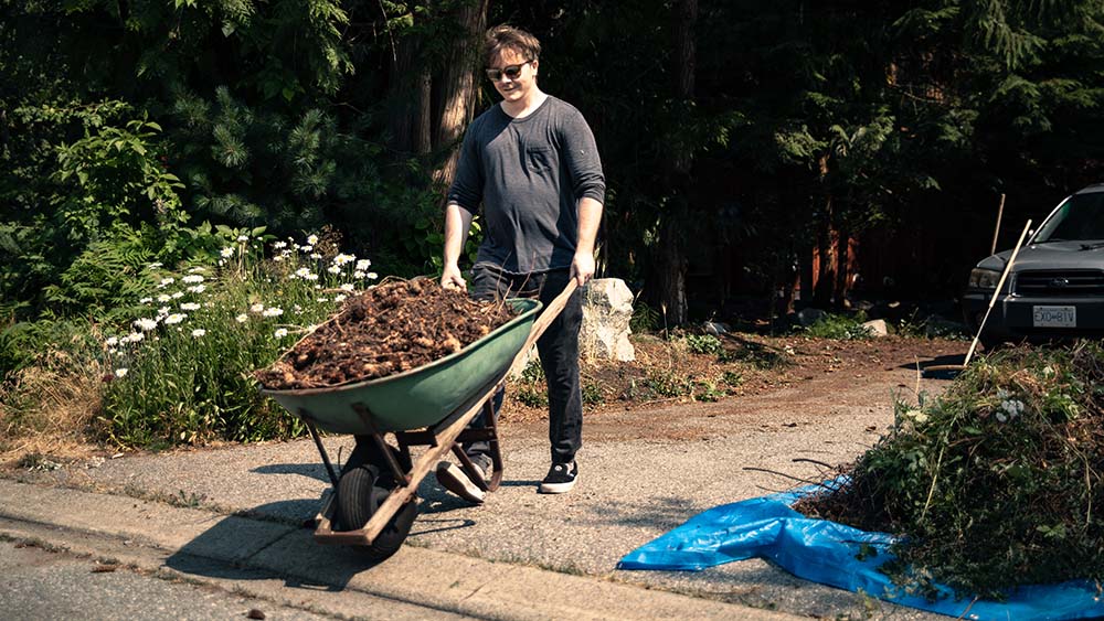 A person pushing a wheelbarrow filled with yard debris along a driveway.