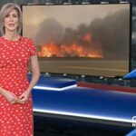 female news anchor reporting in front of a television screen displaying footage of a large wildfire