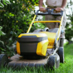 person mowing the lawn