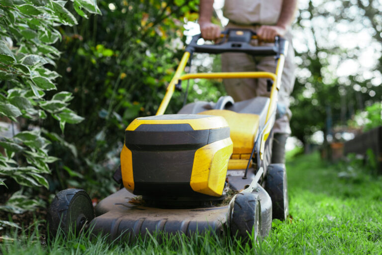 person mowing the lawn