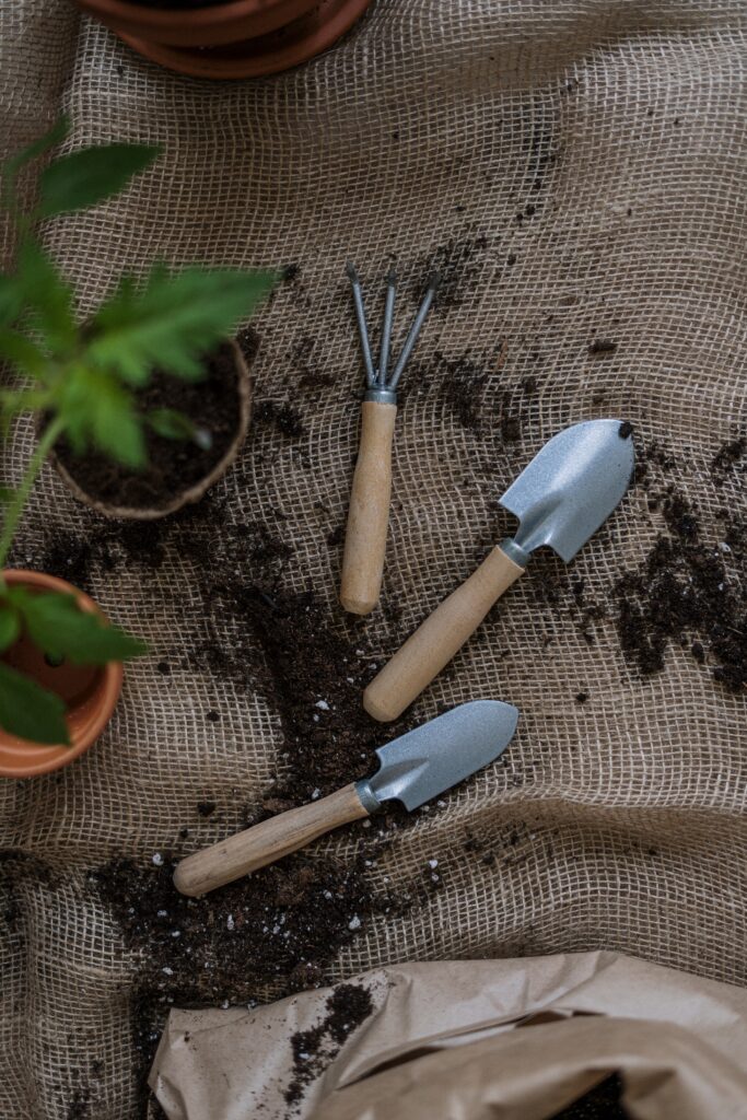 overhead shot of gardening tools