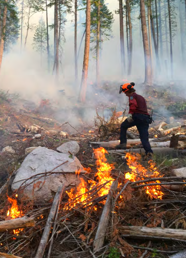 Nelson’s collaborative approach to wildfire risk reduction | FireSmart BC