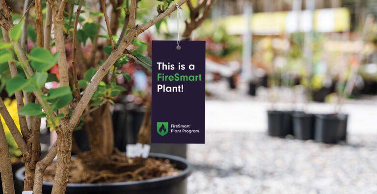 A plant with a tag that reads, "This is a FireSmart Plant!"