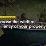 Increase the wildfire resiliency of your property