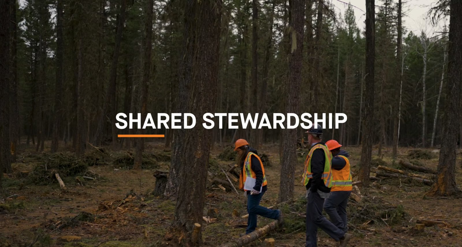 Shared Stewardship