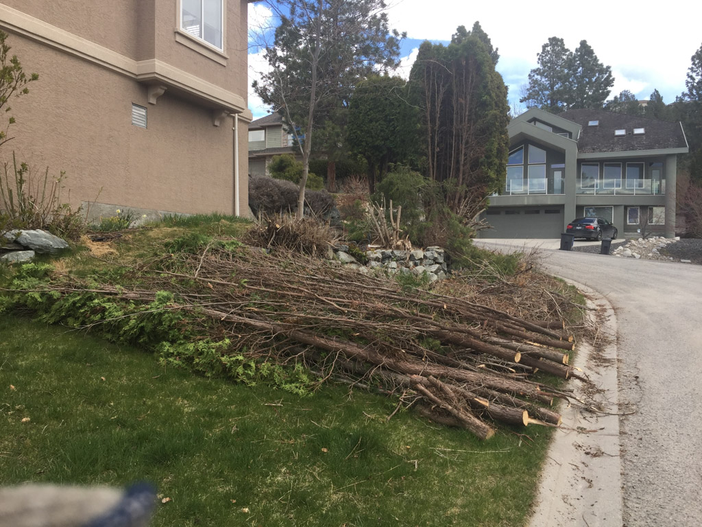 Kelowna’s FireSmart Community Chipping Program FireSmart BC