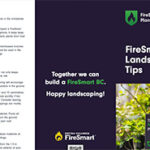Landscaping Brochure