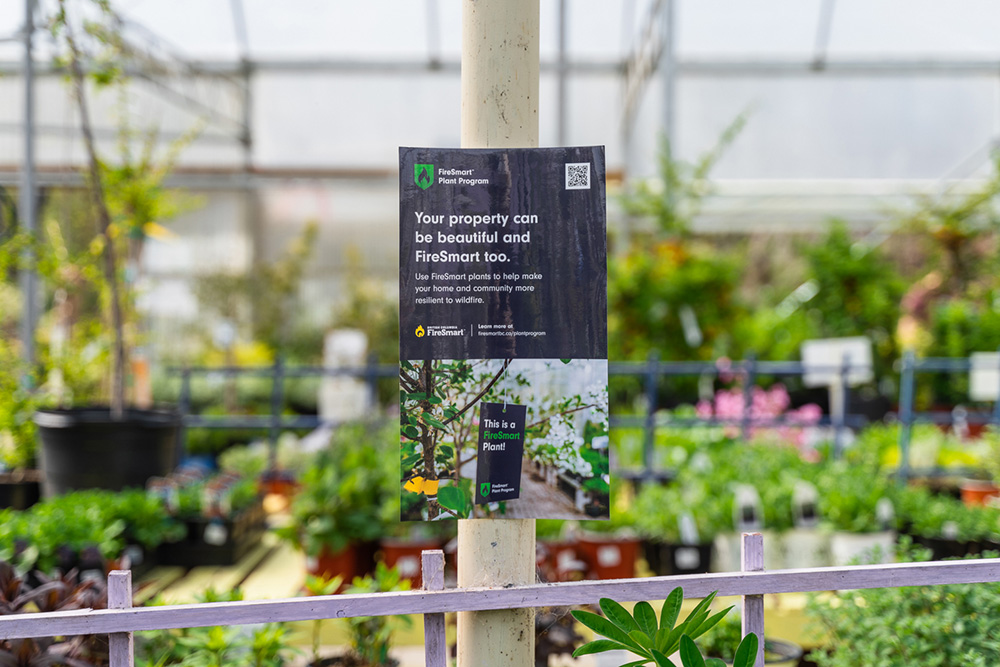 A sign promoting the FireSmart Plant Program is displayed in a plant nursery