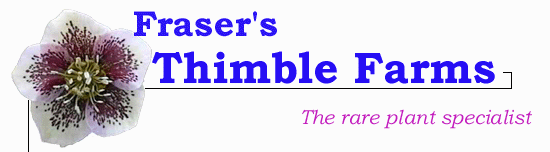 Fraser's Thimble Farms - The rare plant specialist
