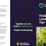 FireSmart BC Landscaping Tips Brochure
