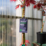 Plant with a FireSmart Plant Program label