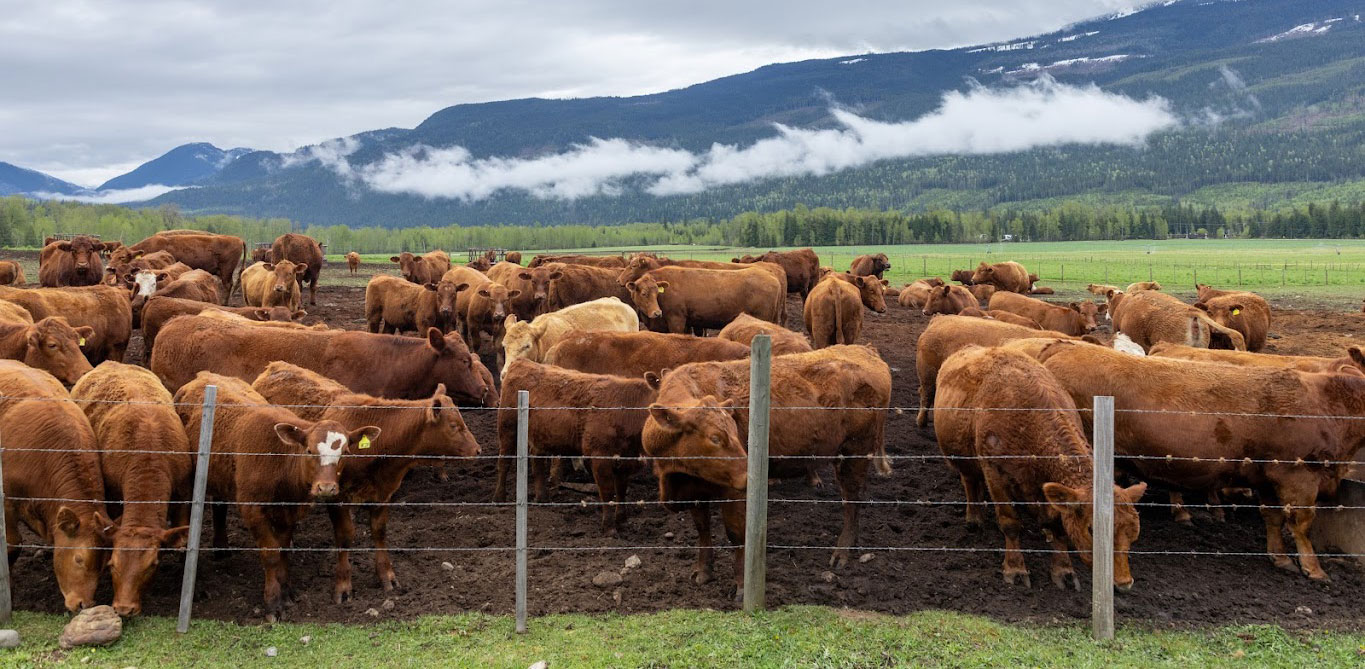 Farm and Ranch Wildfire Preparedness
