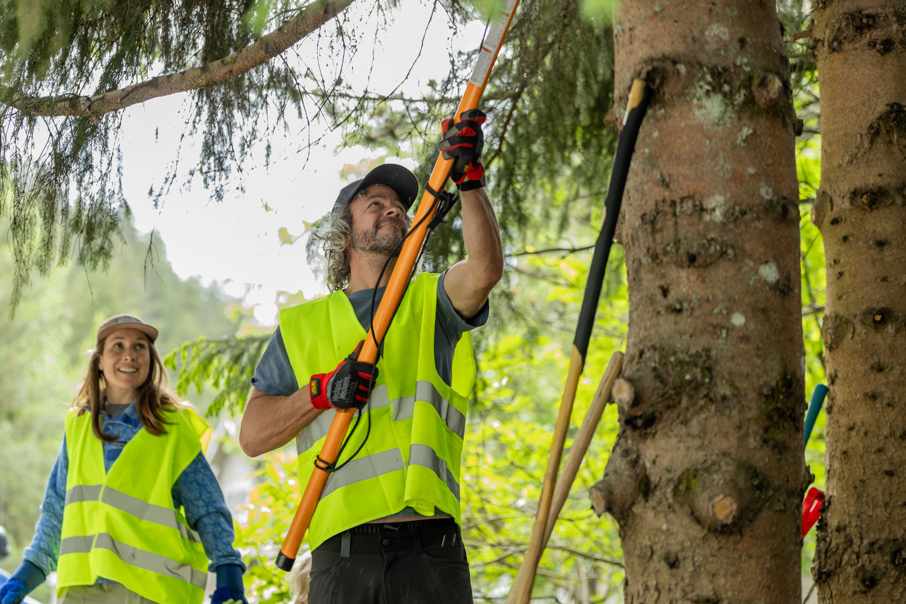 How the Local FireSmart Collective Program works