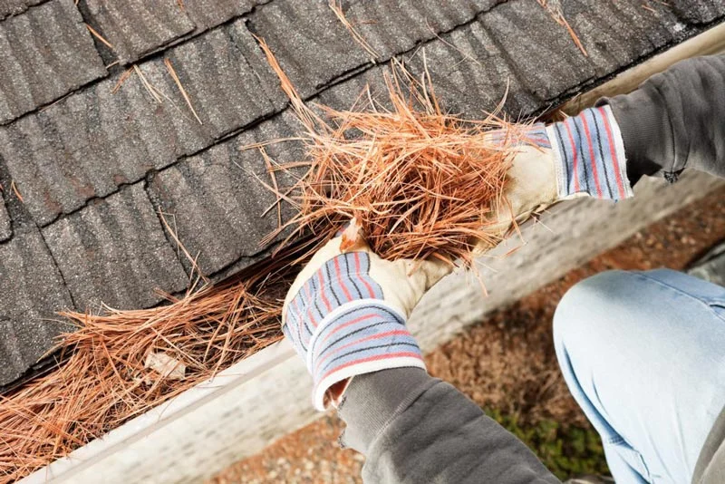 FireSmart activities you can do while you’re at home.