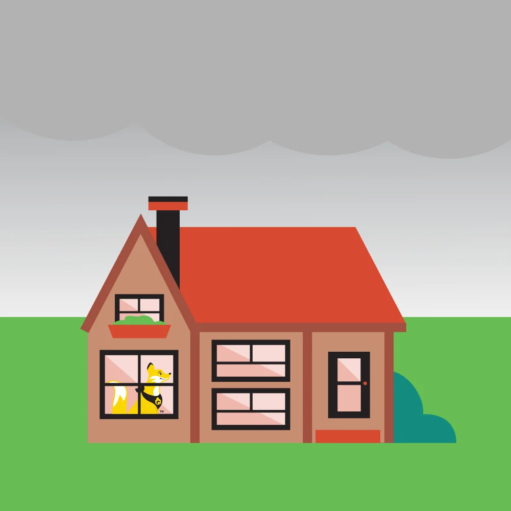 Stay alert on smoky days.